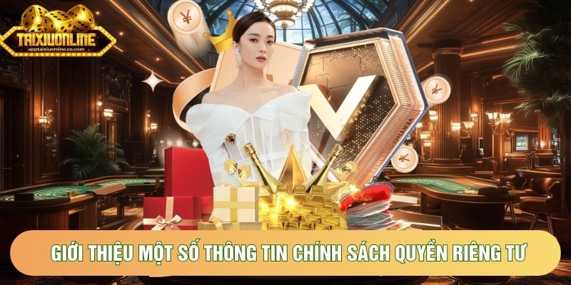 Giới thiệu một số thông tin chính sách quyền riêng tư Giới thiệu một số thông tin chính sách quyền riêng tư