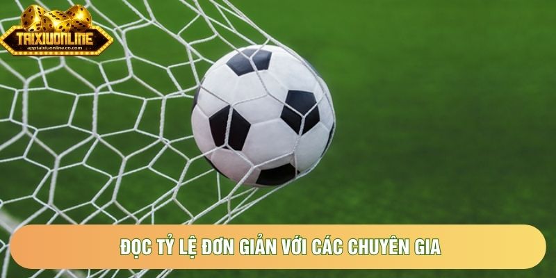 Đọc tỷ lệ đơn giản với các chuyên gia