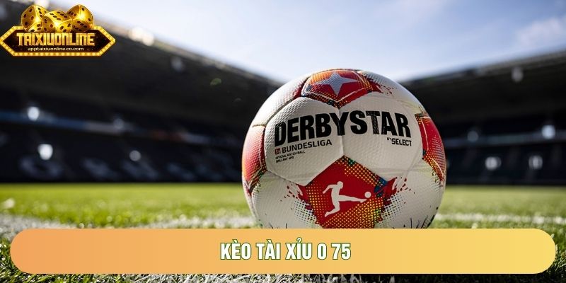 Kèo Tài Xỉu 0 75: Tìm Hiểu Chi Tiết Nhất Về Chiến Lược Đầu Tư