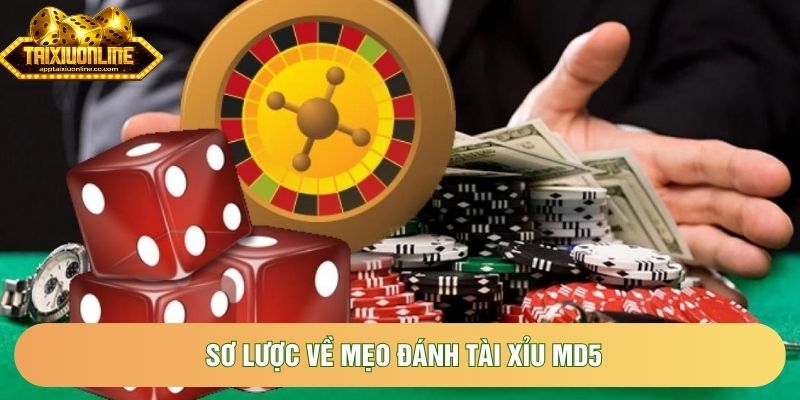 Sơ lược về Mẹo đánh tài xỉu md5