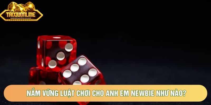 Nắm vững luật chơi cho anh em newbie như nào?
