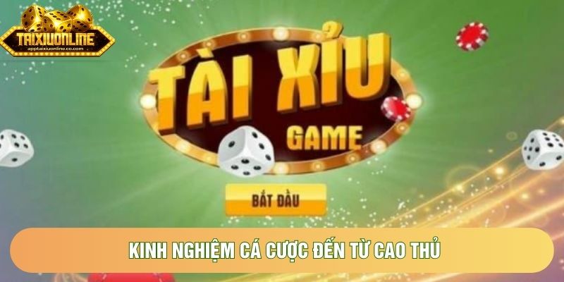 Kinh nghiệm cá cược đến từ cao thủ Kinh nghiệm cá cược đến từ cao thủ